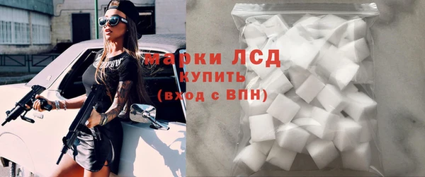 ГАЛЛЮЦИНОГЕННЫЕ ГРИБЫ Верея