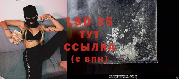 ГАЛЛЮЦИНОГЕННЫЕ ГРИБЫ Верея