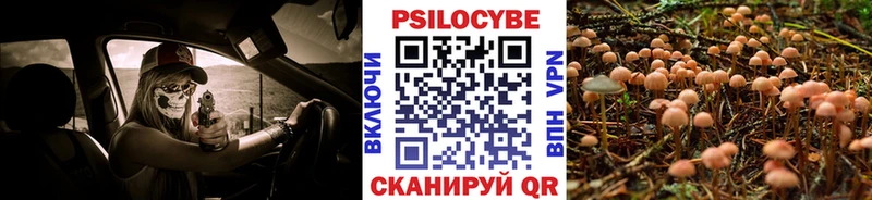 Галлюциногенные грибы прущие грибы Злынка