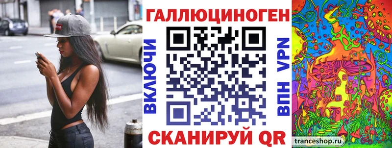 Псилоцибиновые грибы Psilocybine cubensis  Злынка 